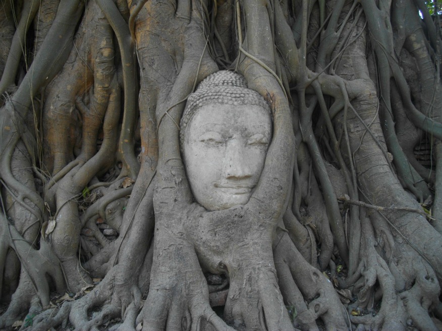 Buddha head at Wat Mahrathat