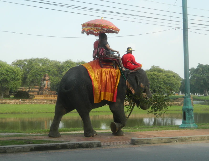 Ayutthaya Transport