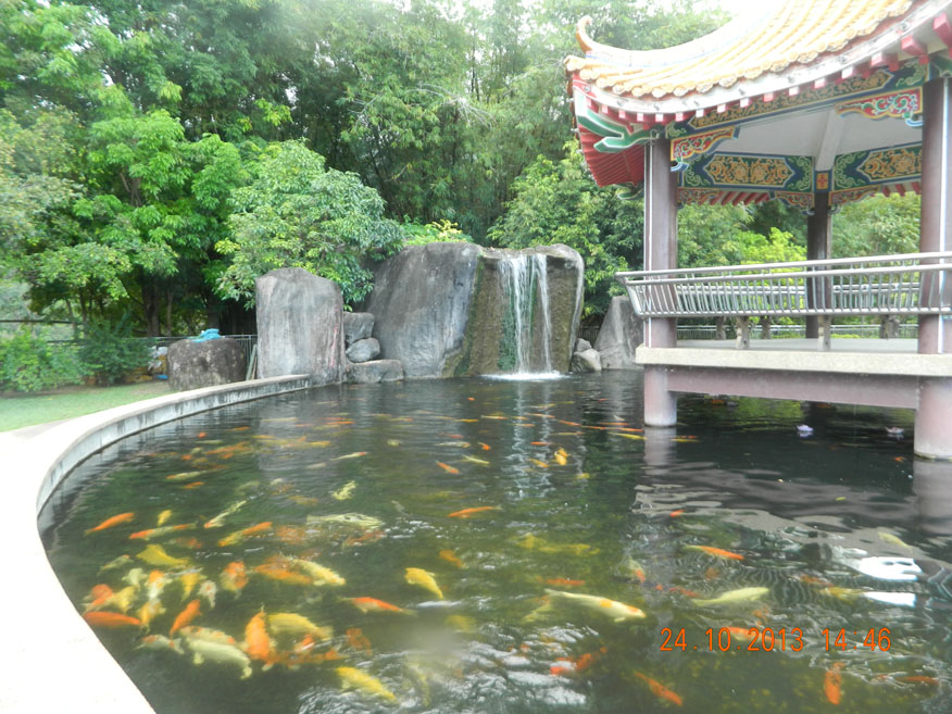 Koi pond at Kek Lok Si-Temple