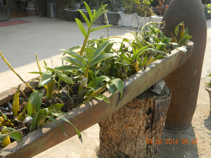Flower container from shell casing, Phoukham Resort