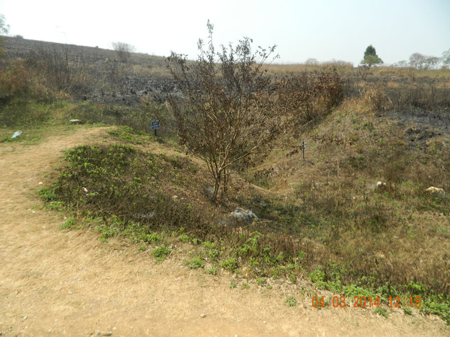 Vietnam War Bomb Crater, Jar Site 1 Phonsavan