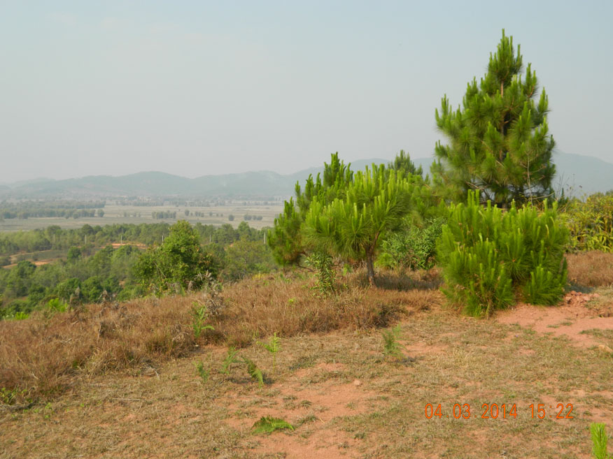 View east, Jar Site 2 Phonsavan