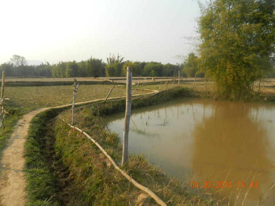 Dry Season Dykes, Phonsavan