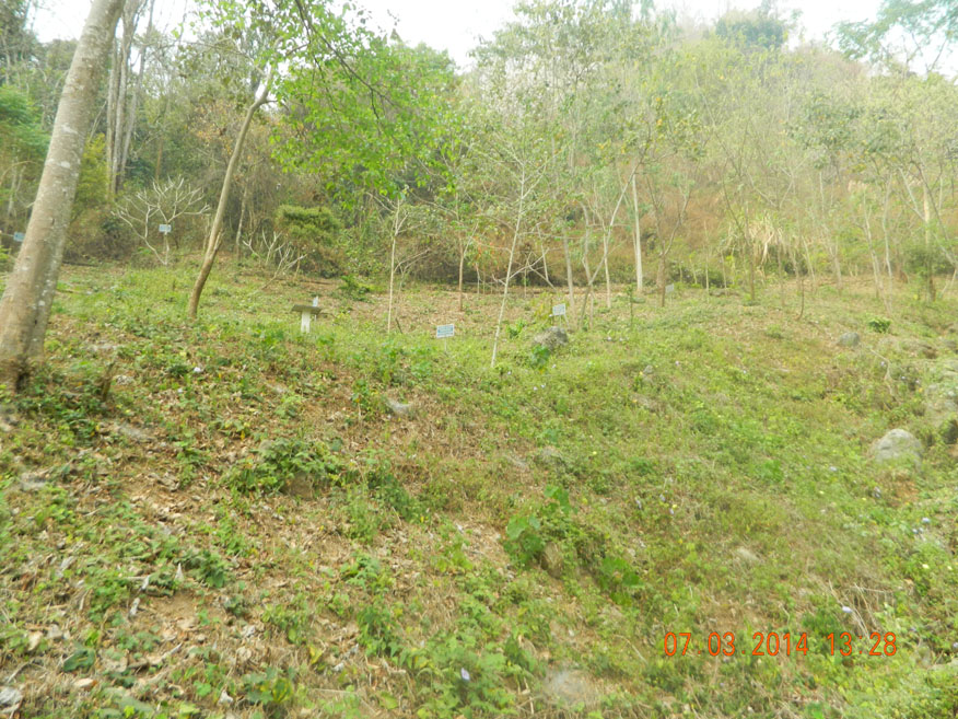 Graves of Bomb Victims, Tham Piou Muang Kham