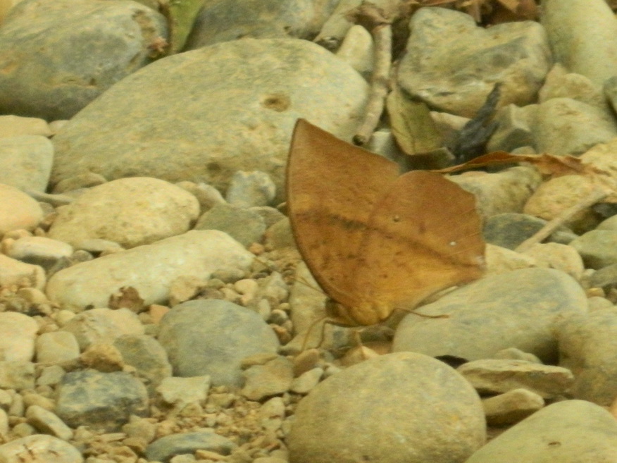 Dropping in, Kaeng Nyui Vang Vieng