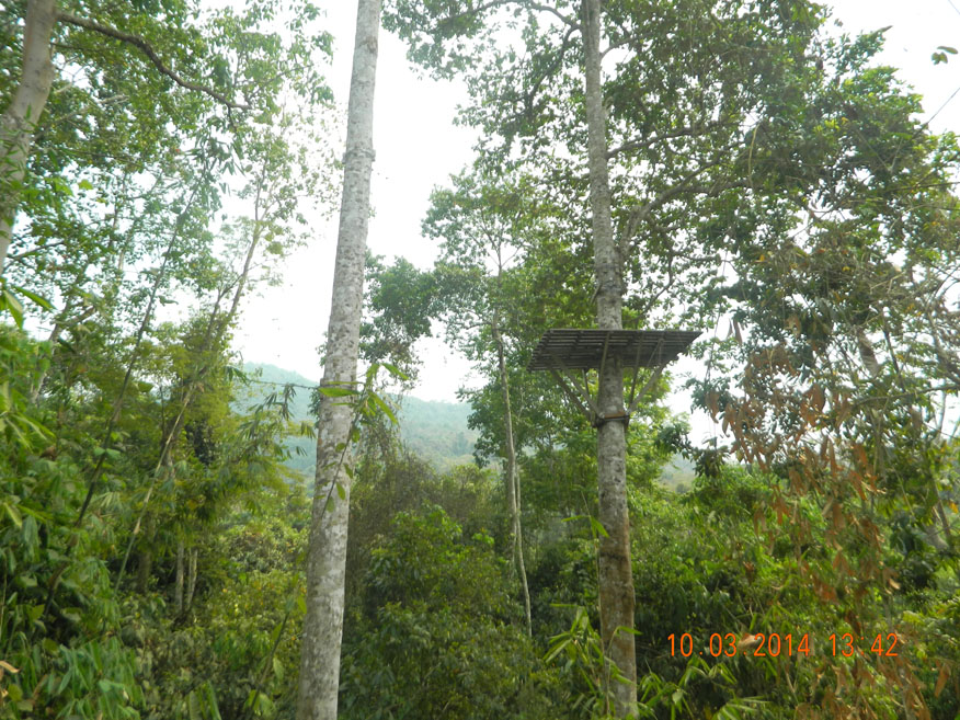 Forest Flight, Kaeng Nyui Vang Vieng