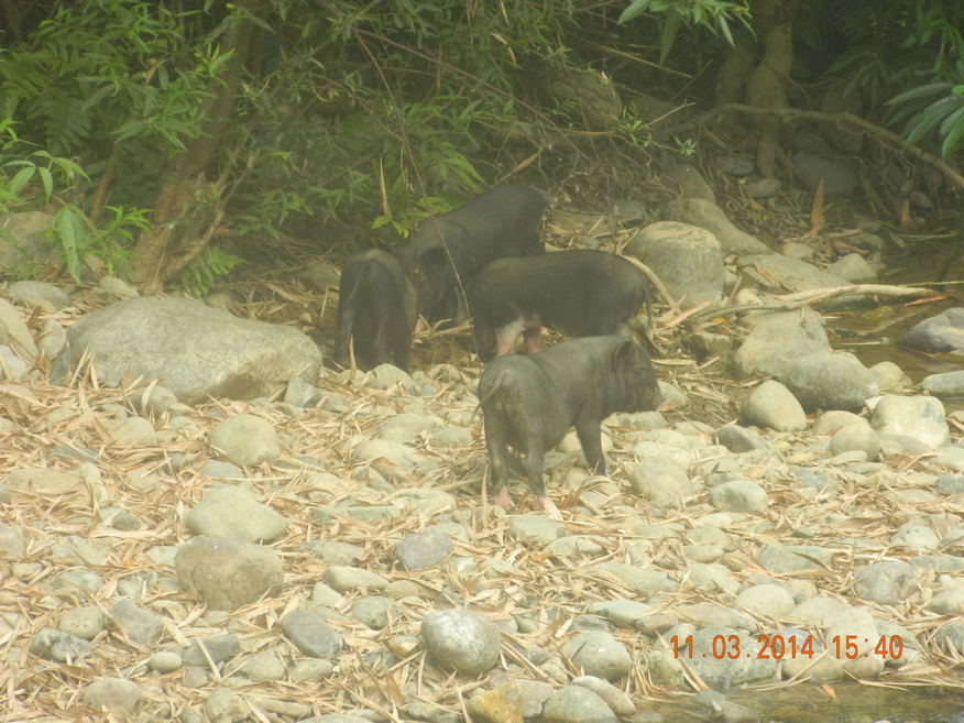 More Dwellers at Chang Cave, Vang Vieng