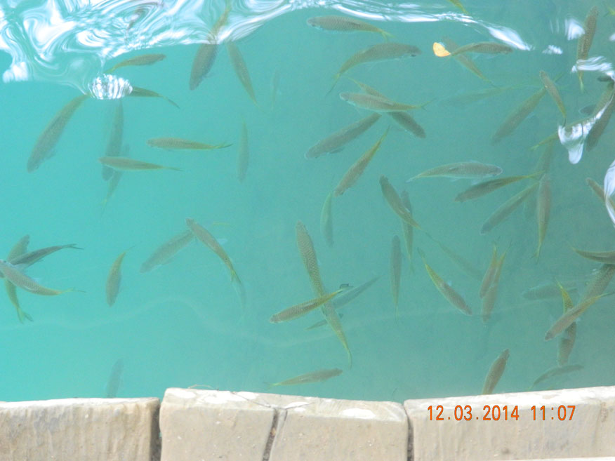 Life in the clear Blue Lagoon, Vang Vieng