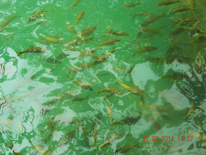 Residents of Blue Lagoon, Vang Vieng