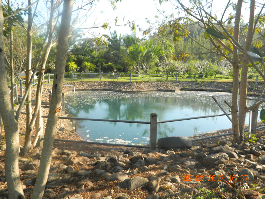 The Mud Pit, a rich source of minerals, good for the skin and blood circulation.