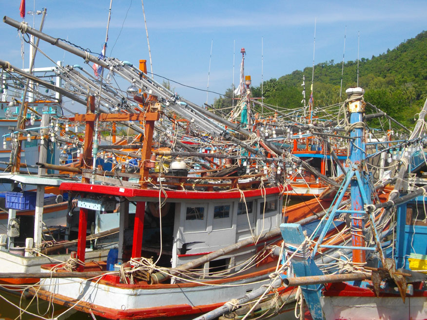squid fishing vessels at Ban Ao Yang