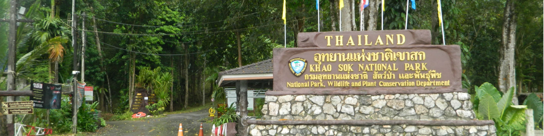 Khao Sok National Park, Phanom District, Surat Thani Province